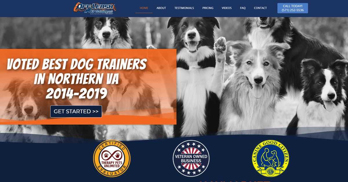 off leash k9 training