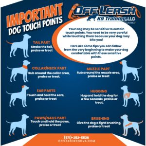 https://offleashk9nova.com/wp-content/uploads/2022/04/OLK9-Dog-Touch-Points-02.pdf-300x300.jpeg