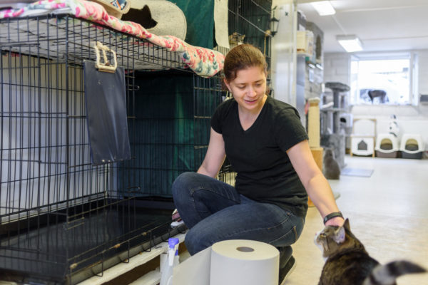 Best Animal Shelters In Northern Virginia - See Our Top 5