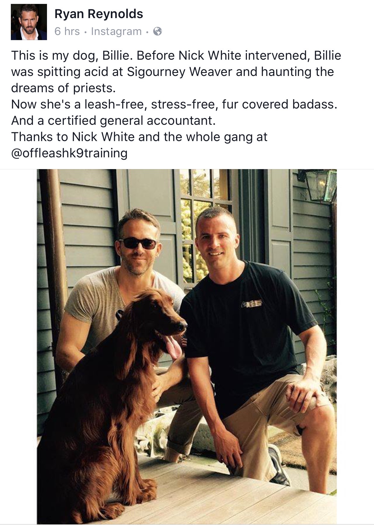 Top Dog Trainers In Northern Virginia Comprehensive Guide To Expert