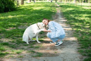 Pet sitting is thriving in Northern Virginia, with more and more dog owners turning to these professionals to care for their pets when they can’t do that. If you are considering hiring one, here are the best dog sitters in Northern Virginia.