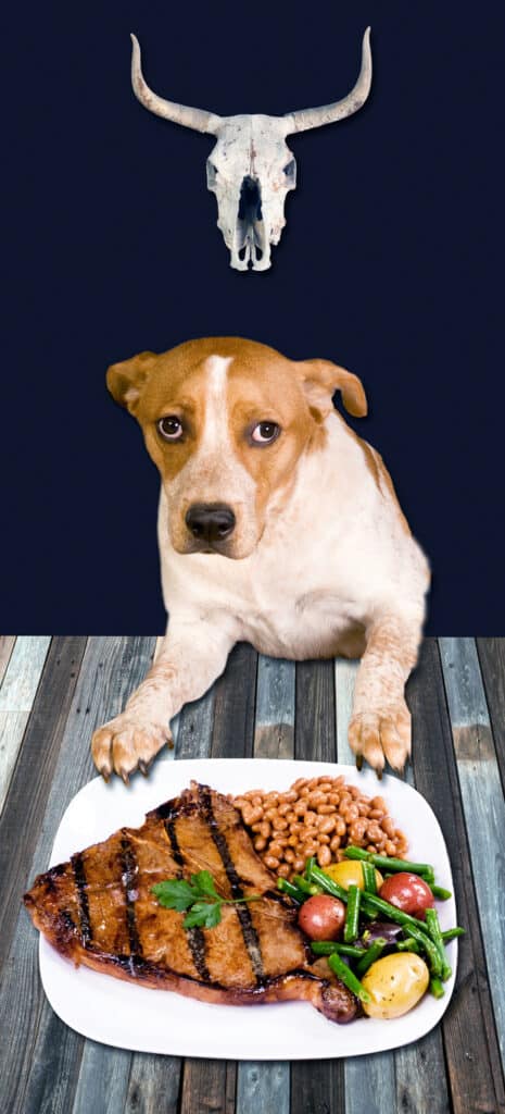 Dog Friendly BBQ Restaurants in Northern Virginia