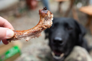 Dog Friendly BBQ Restaurants in Northern Virginia