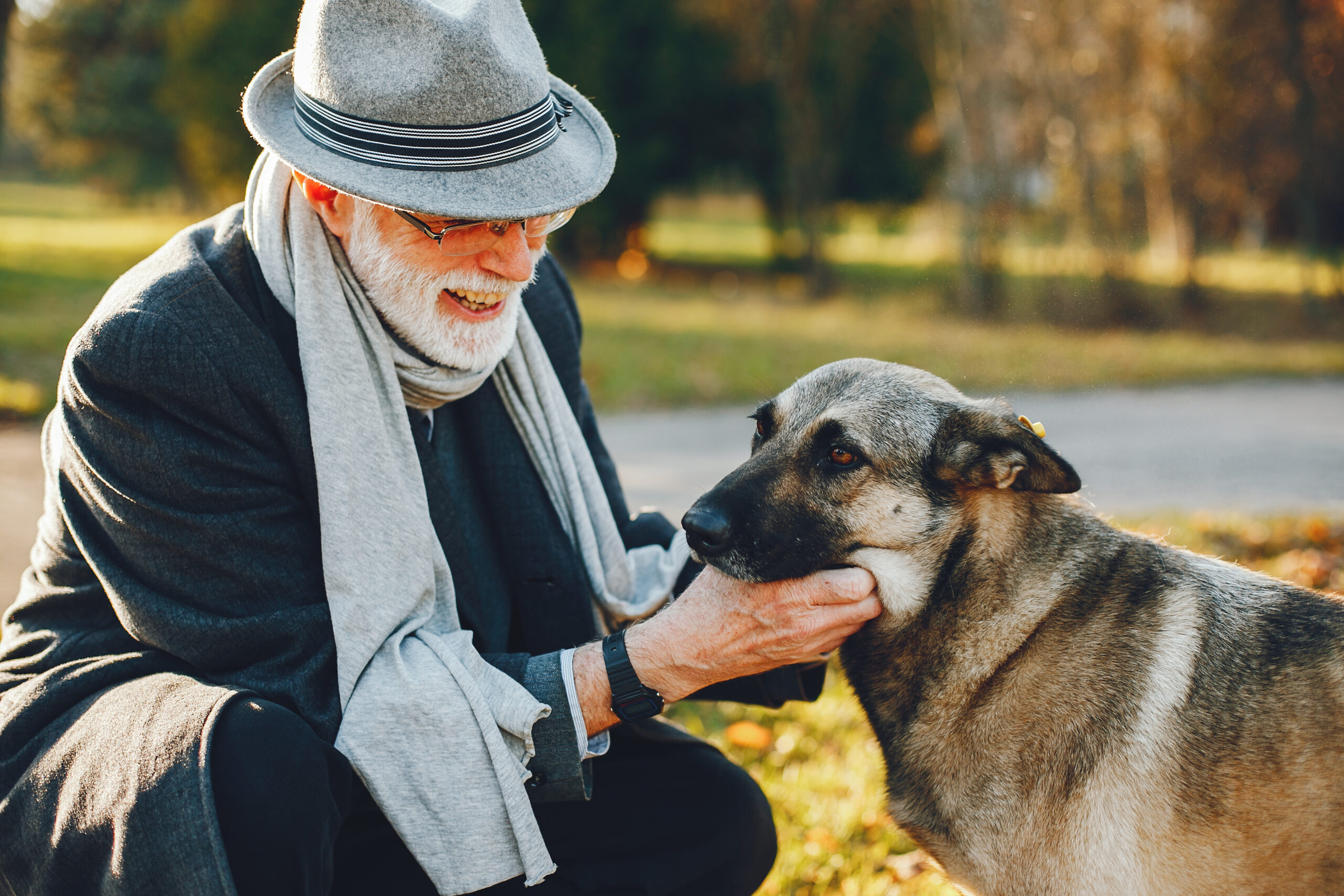 Herding Breeds And Companion Breeds