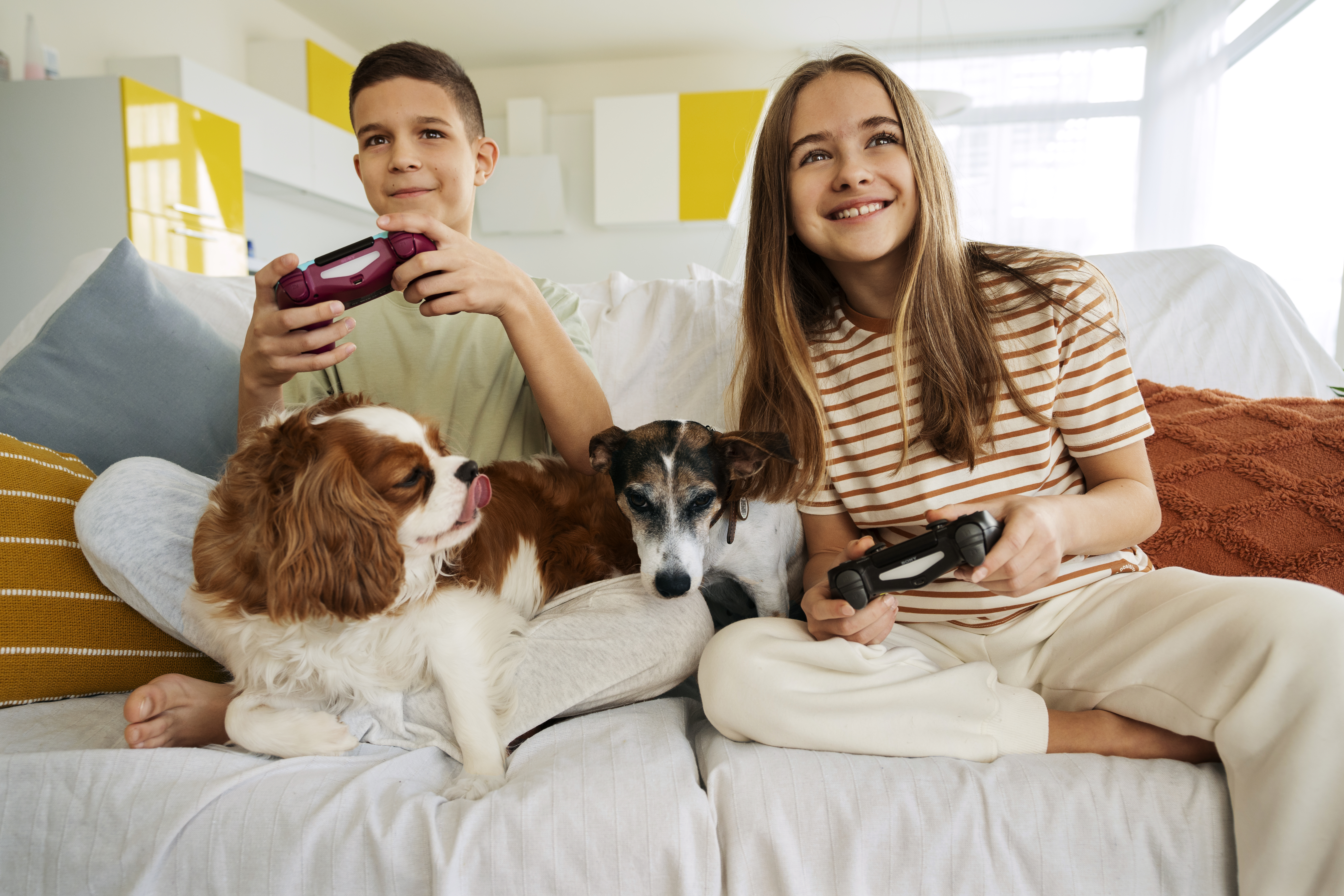 Place Command for Dogs