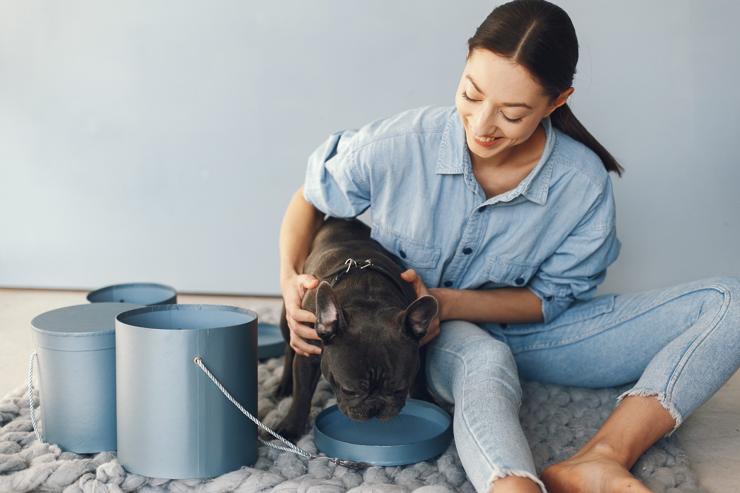 Place Command for Dogs