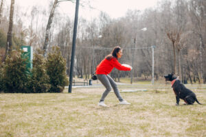 Tracking Games to Try With Your Dog
