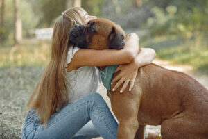 Training Rescue Dogs to Build Trust