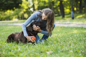 Place Command for Dogs