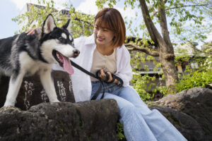 How to Train a Dog Who’s Never Been Trained