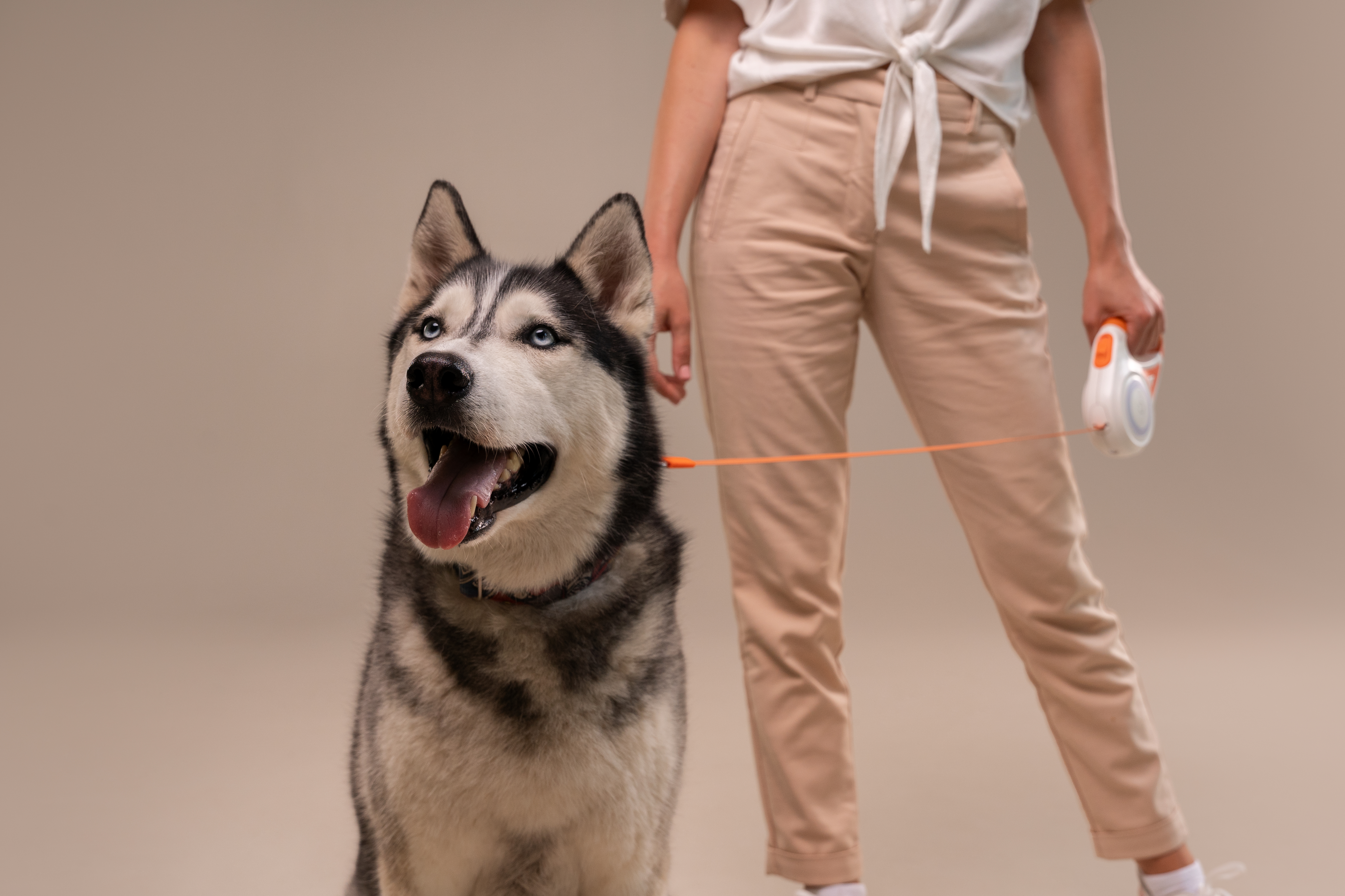 How to Train a Dog Who’s Never Been Trained