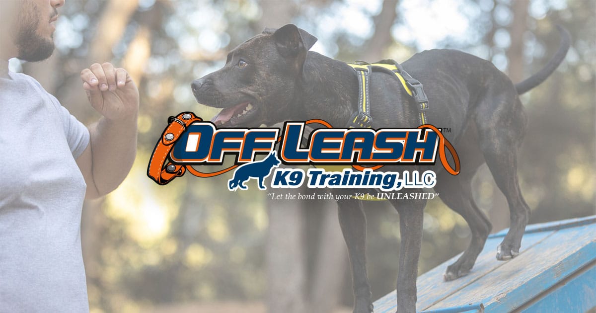 Dog Training Prices In Northern VA | Off Leash K9 NoVA
