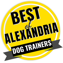 Best-of-Alexandria-1.png